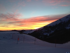 Alba 2014